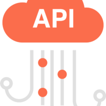 Customized API development