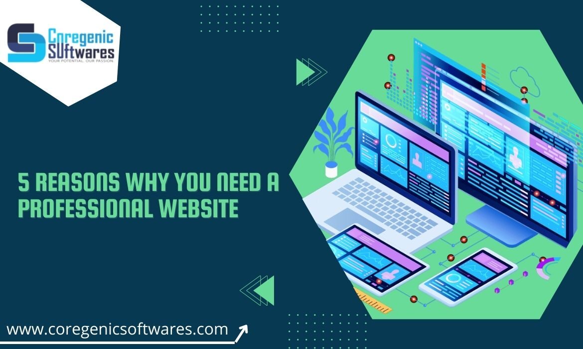 5 Reasons Why You Need A Professional Website