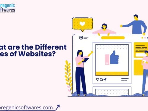 What Are The Different Types Of Websites?