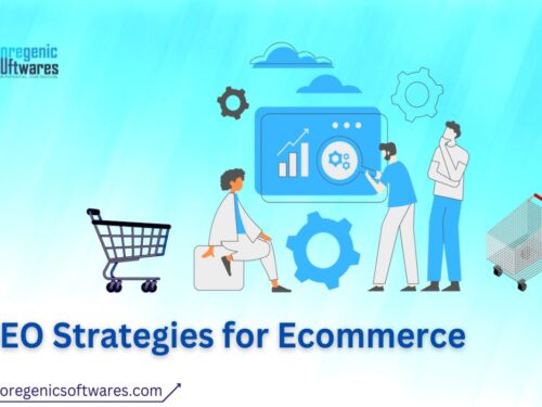 SEO Strategies For E-commerce Websites